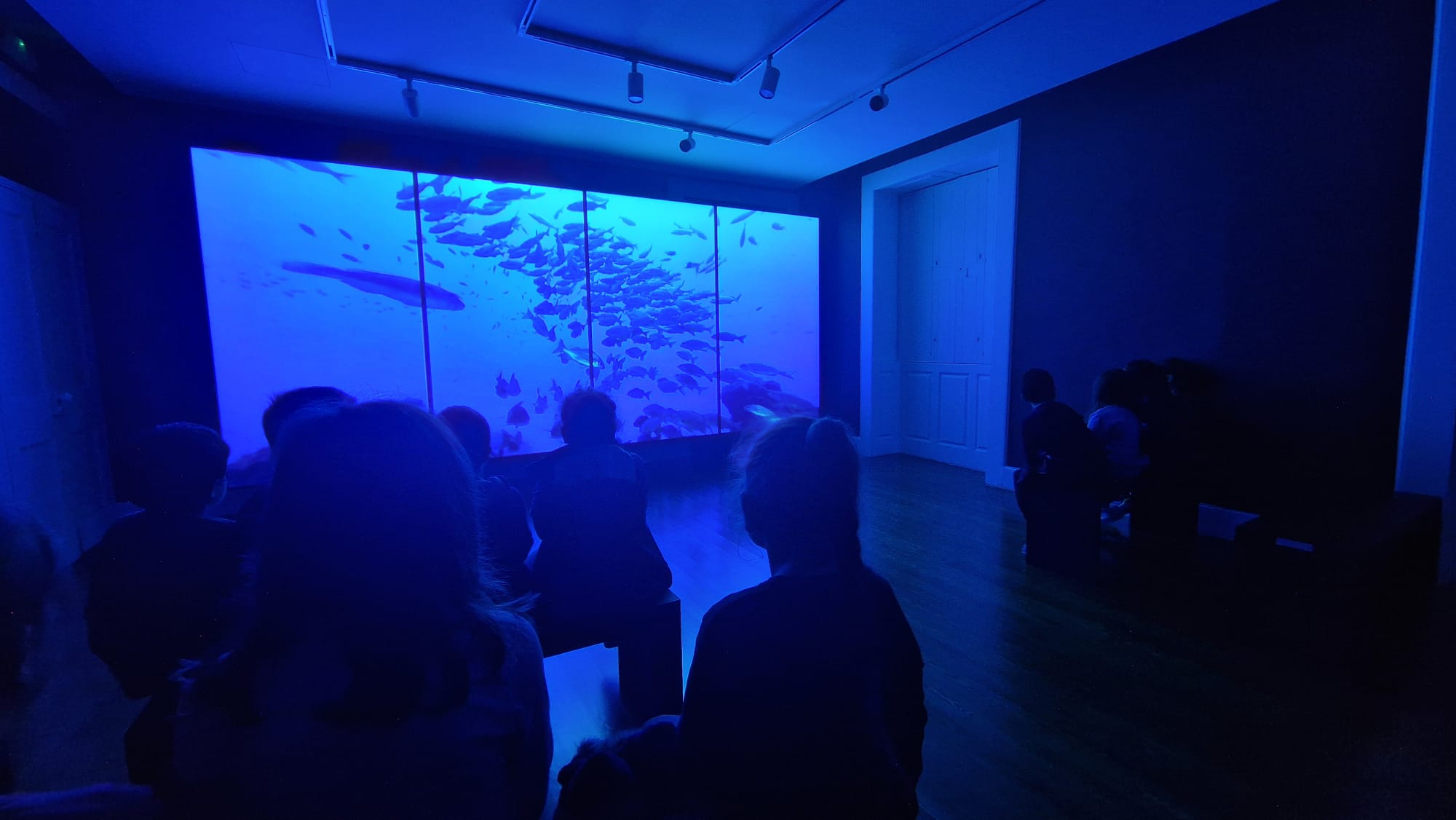 Visita de estudo ao Museu de História Natural do Funchal