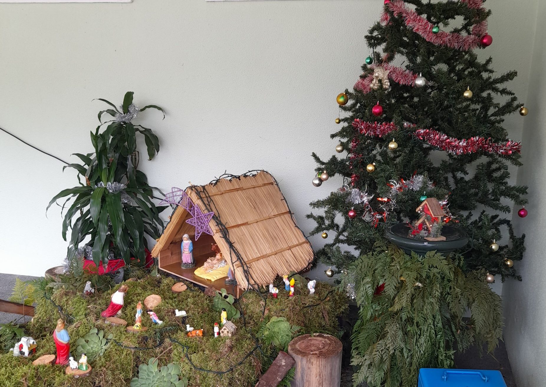 Natal à Porta Cheio de Brilho