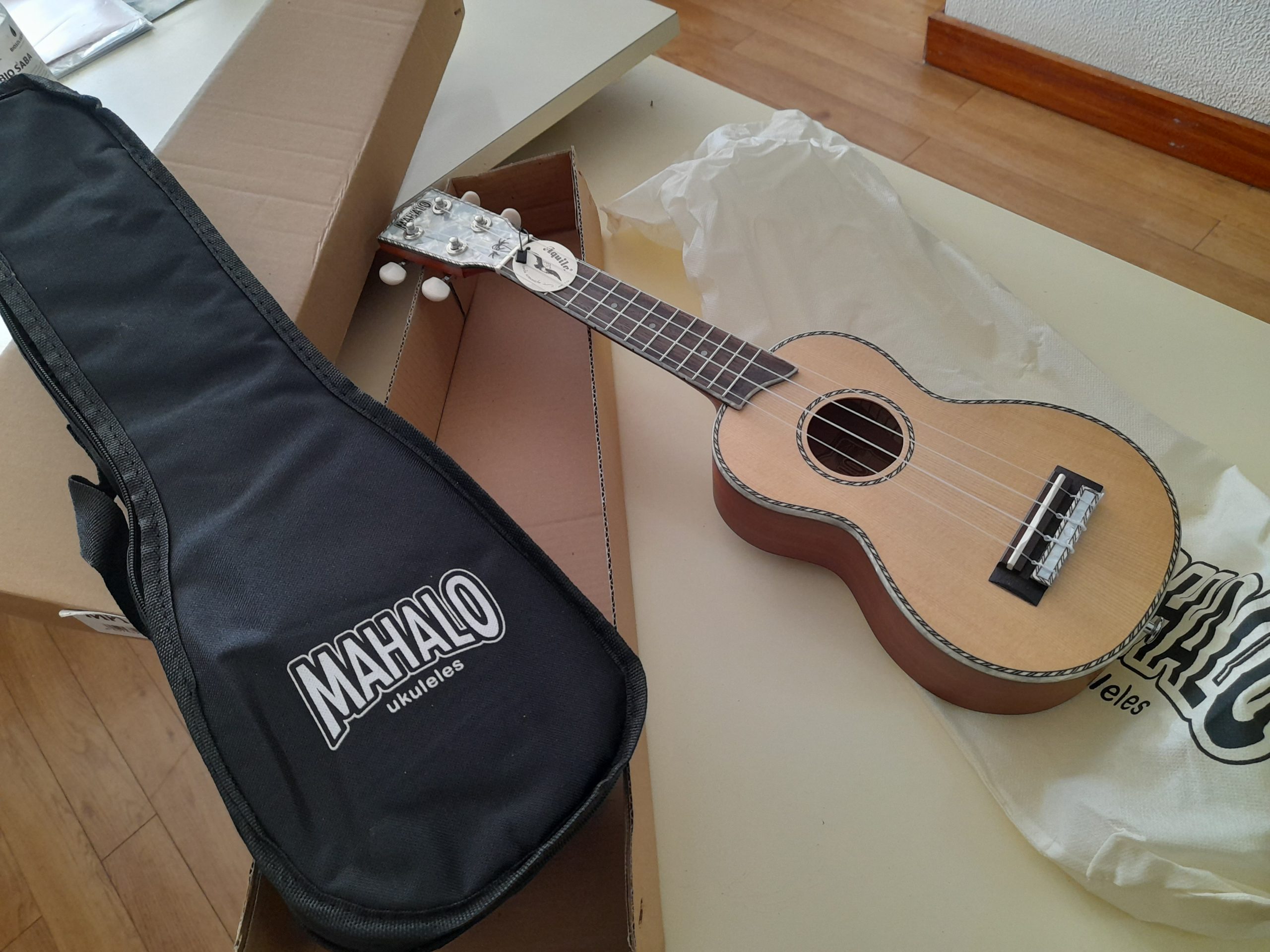 Empréstimo de Braguinhas (Protocolo com a Casa do Povo de Santo António da Serra)