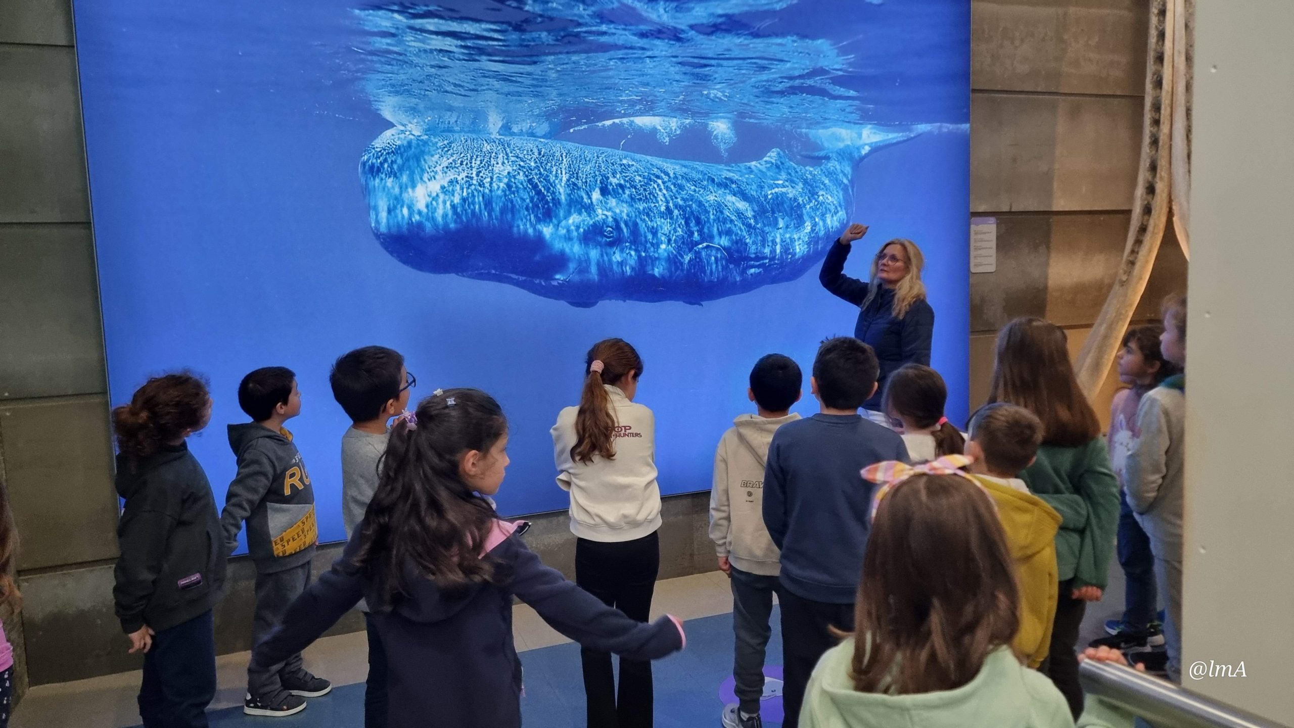 Vista ao Museu da Baleia
