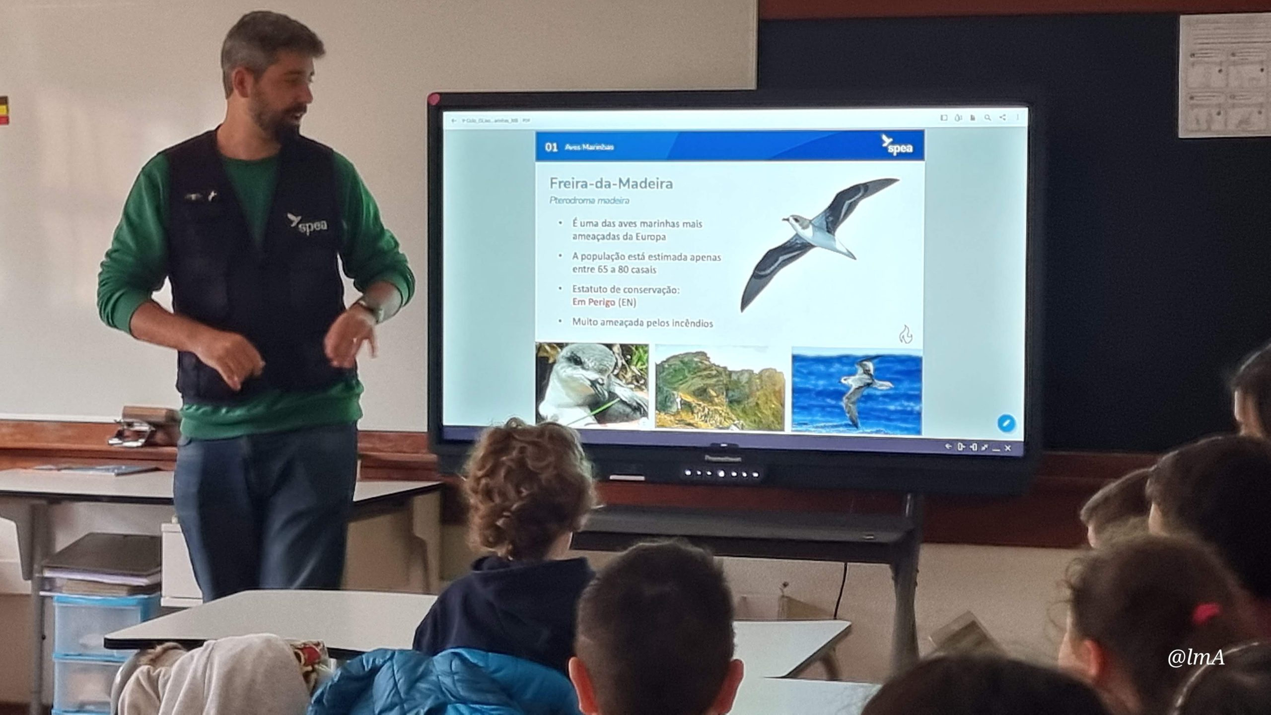 Erasmus + – Sensibilização da SPEA sobre aves marinhas