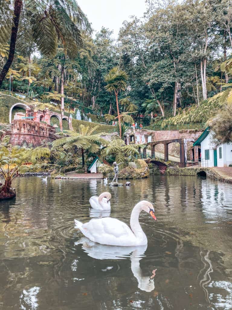 Monte Palace Madeira- Jardim Tropical