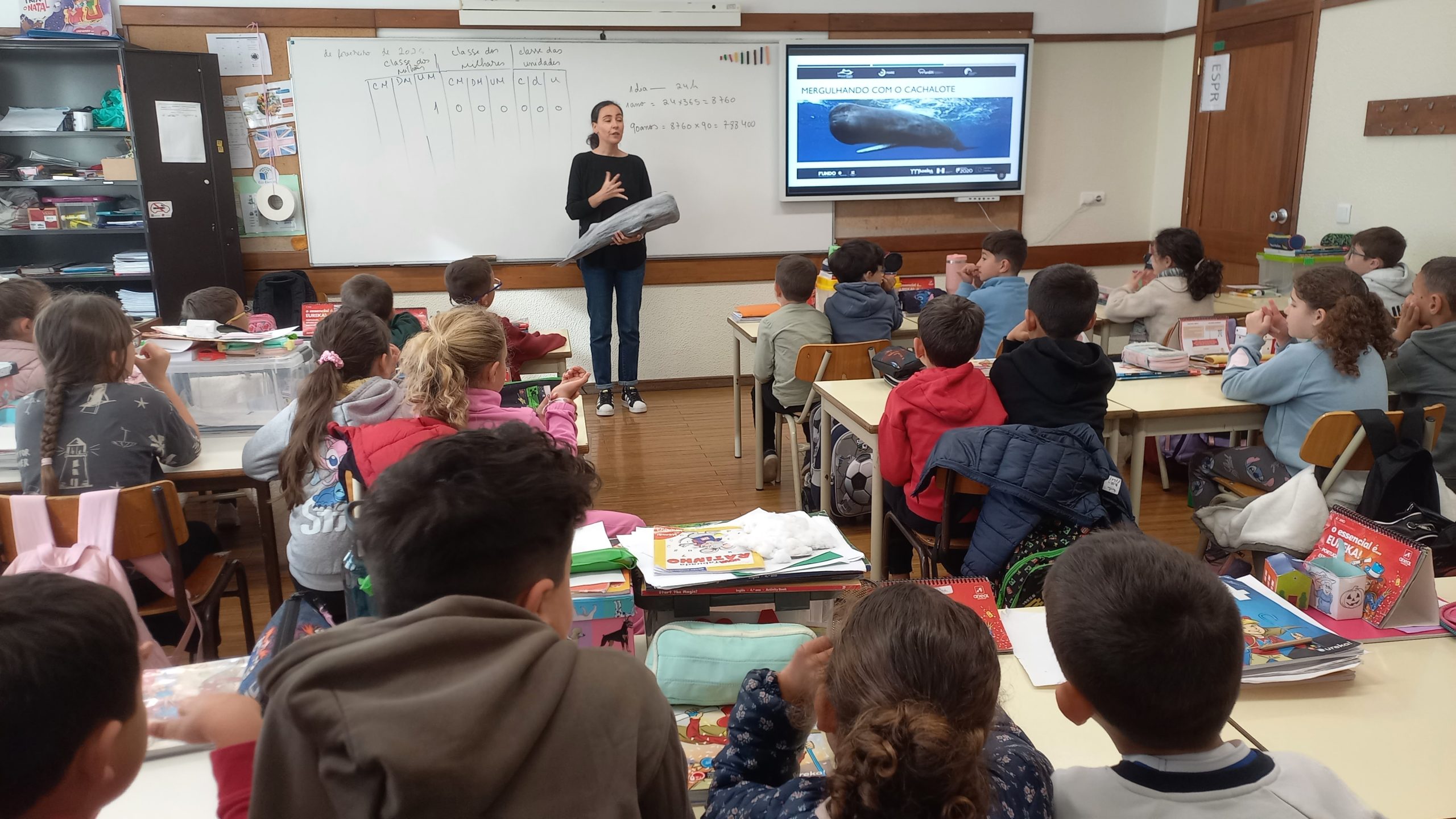 Projeto de Autonomia e Flexibilidade Curricular – O Mar