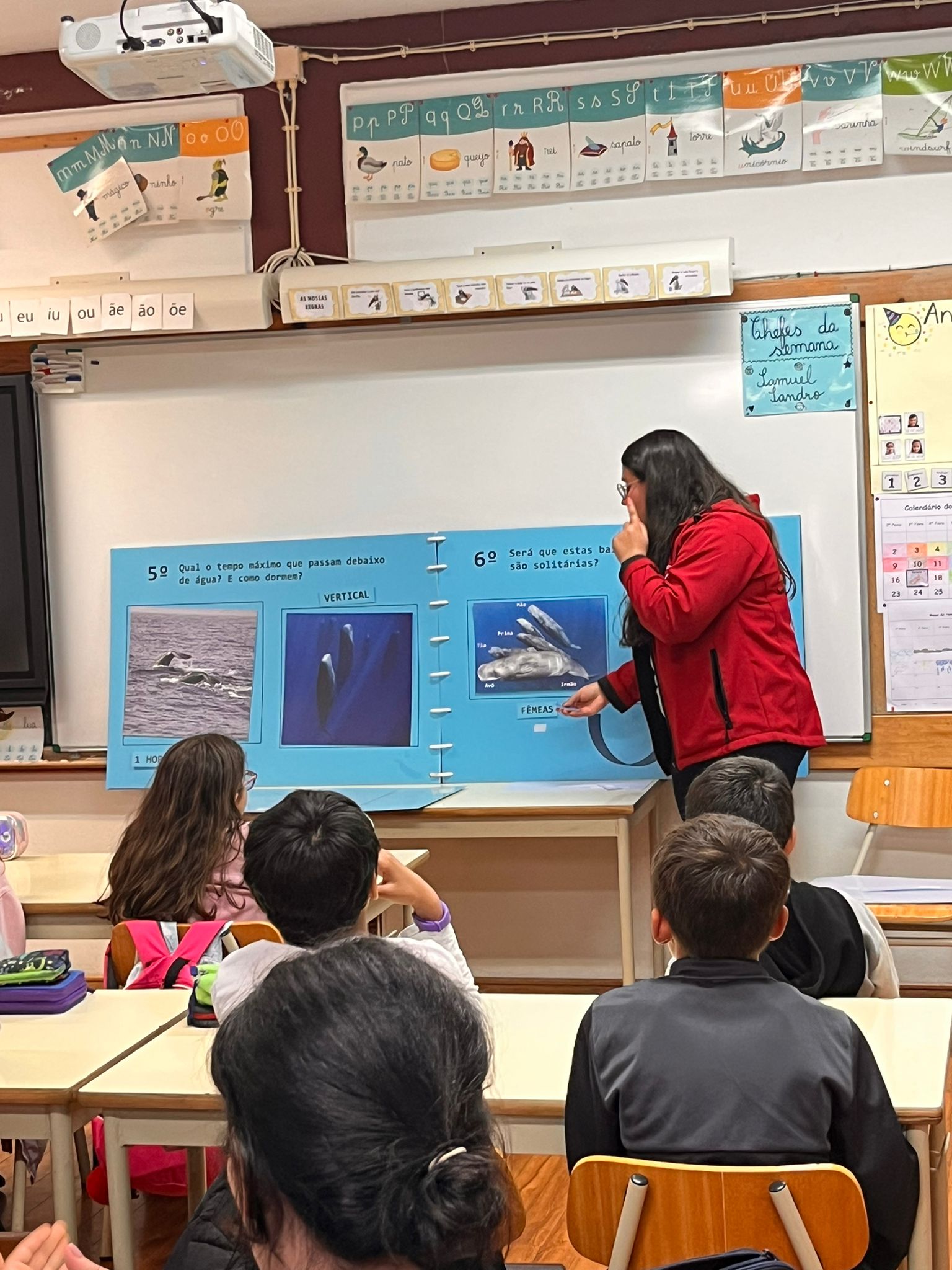 Sensibilização Ambiental da VMT