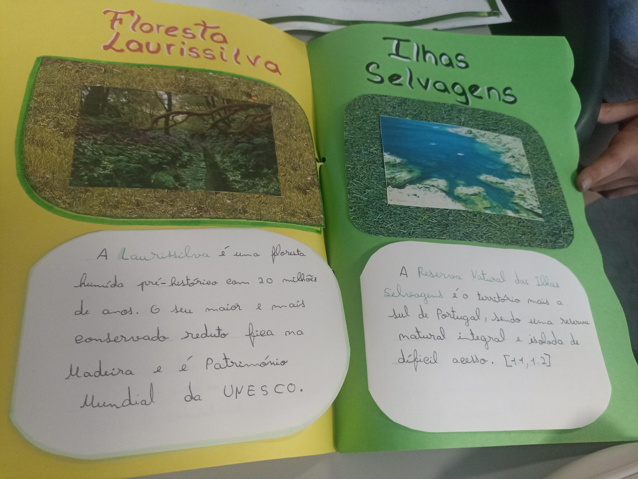 “A Região Autónoma da Madeira e o seu Património Natural”